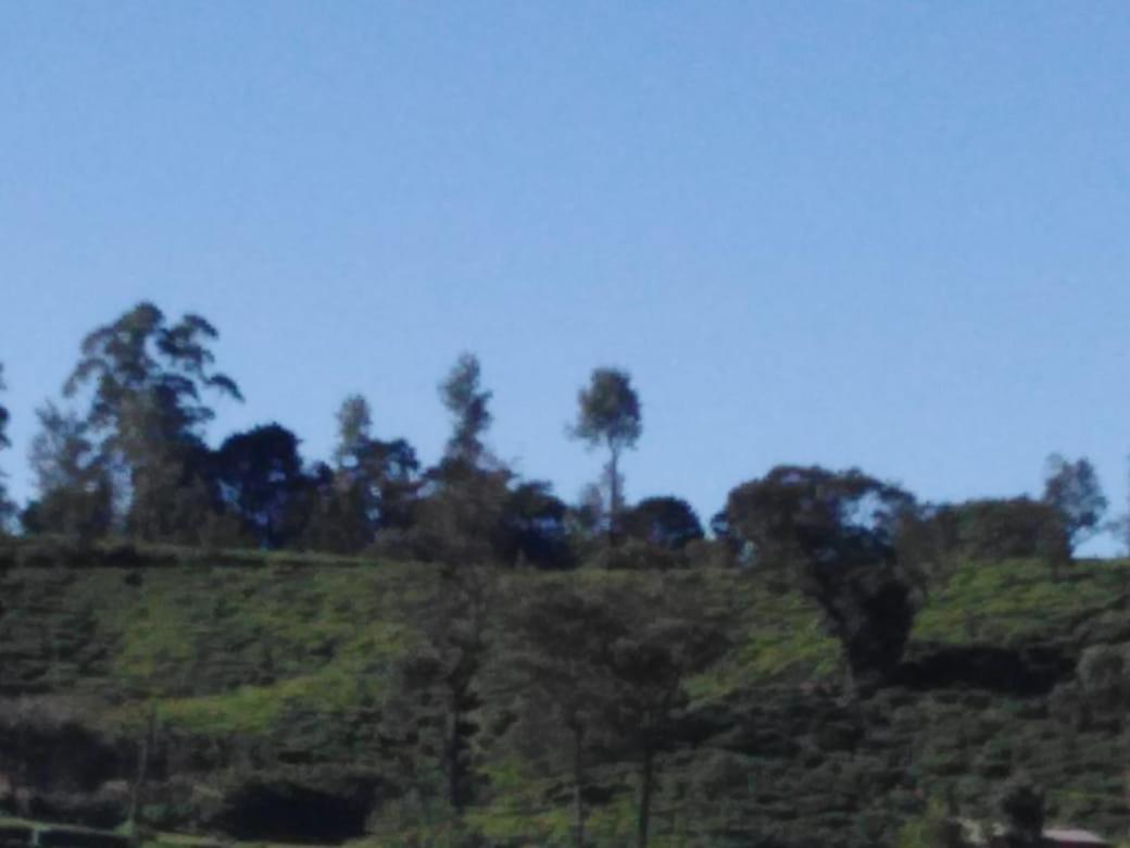 Frosty Heaven Guest House Nuwara Eliya Luaran gambar